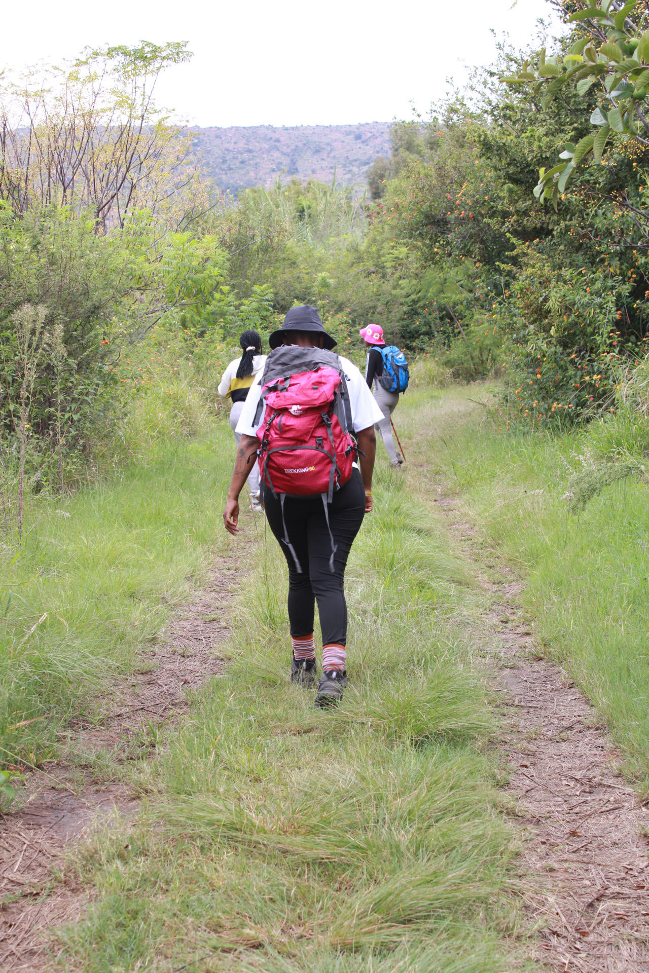Guided Hikes